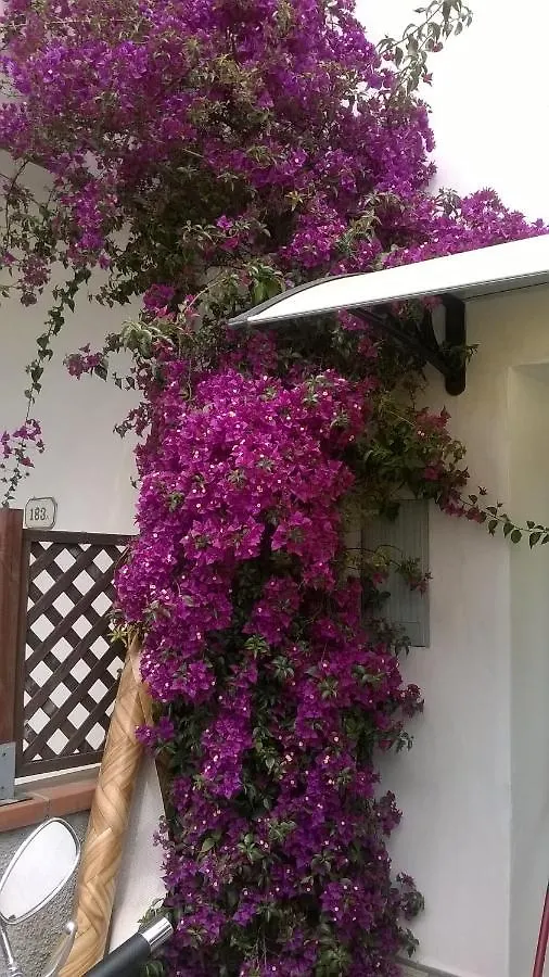 Casa vacanze Rainbow House With Garden Villa Viareggio